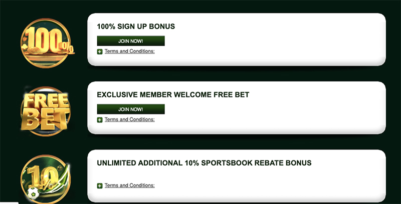 V9bet-bonuses-and-promotions-screenshot 